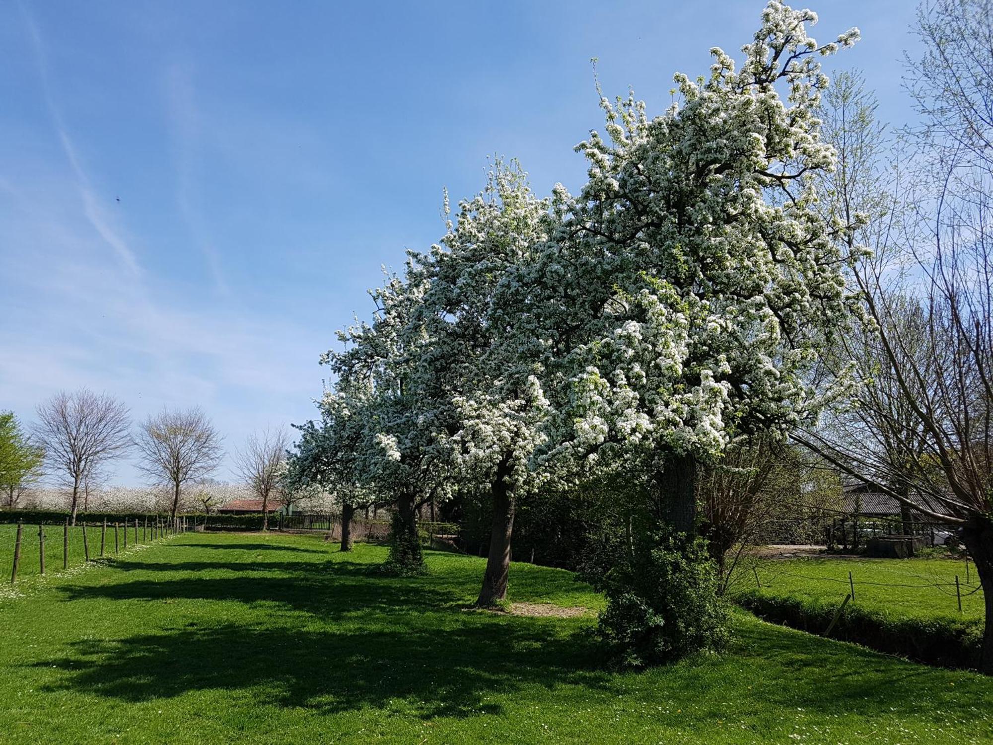 Meschermolen 9 外观 照片