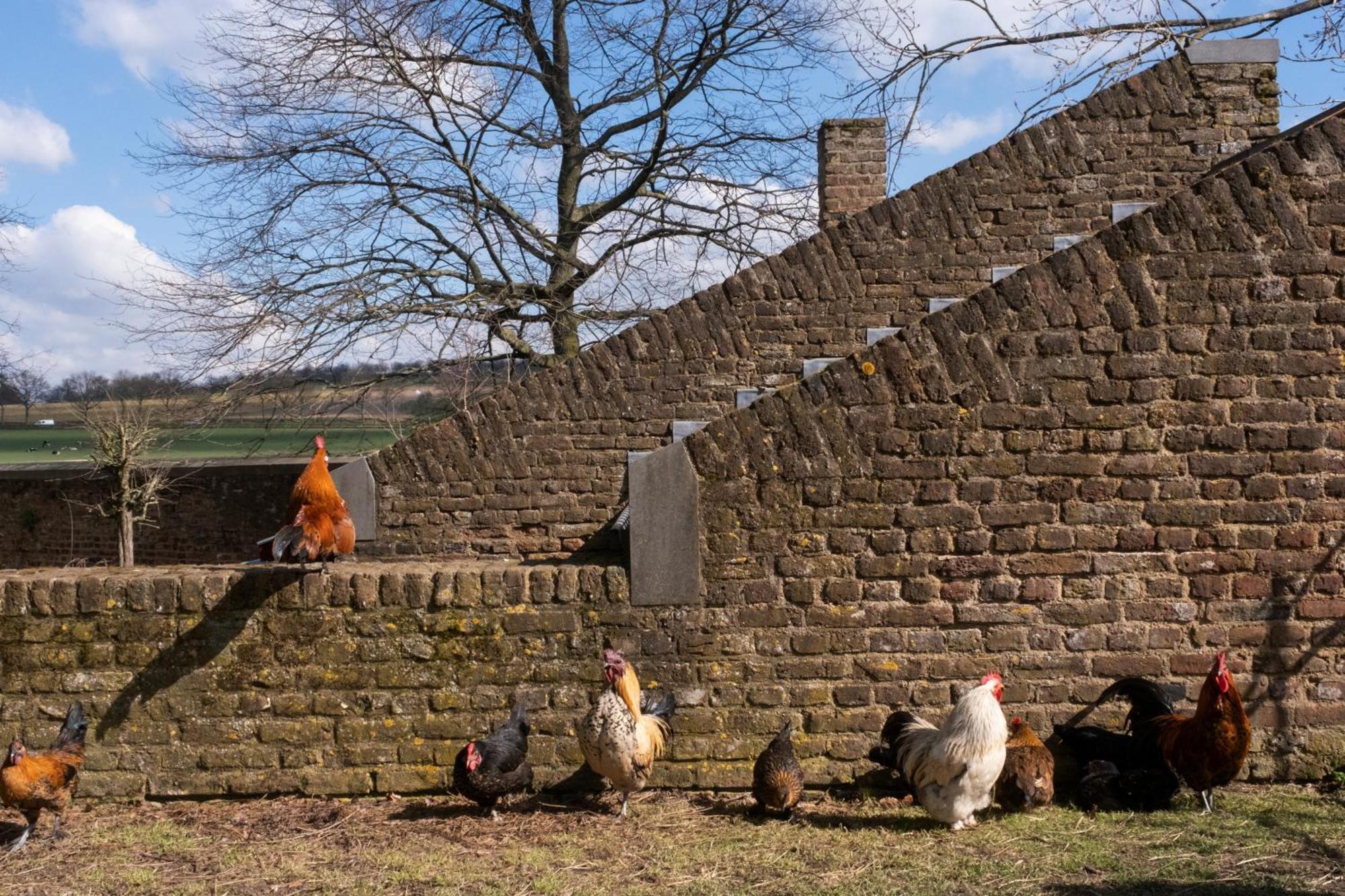 Meschermolen 9 外观 照片